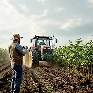 Agropecuária