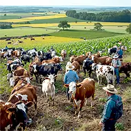 Aeroagricola